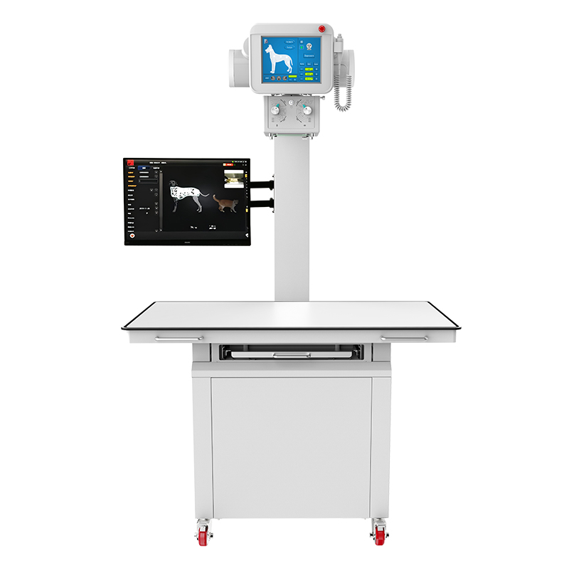 Veterinary DR X-ray Machine